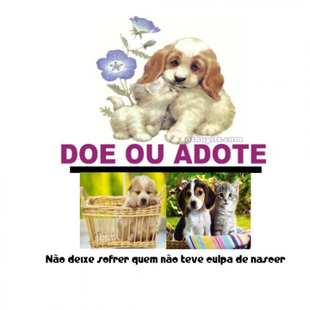 DOE OU ADOTE UM BICHINHO COM A GENTE - São Sebastião do Caí e regiões vizinhas 